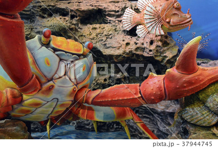 ASIA THAILAND BANGKOK  AQUARIUM 37944745