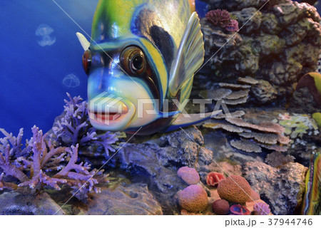 ASIA THAILAND BANGKOK AQUARIUM ASIA THAILAND BANGKOK AQUARIUM 37944746