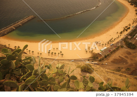 SPAIN CANARY ISLANDS TENERIFE 37945394