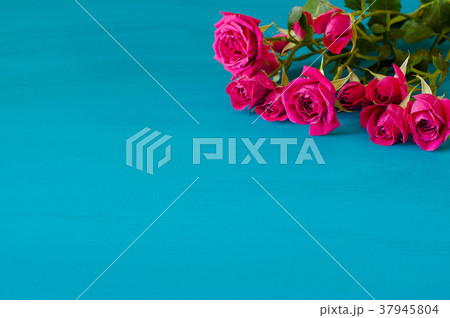 Valentines day background with pink roses over Valentines day background with pink roses over 37945804