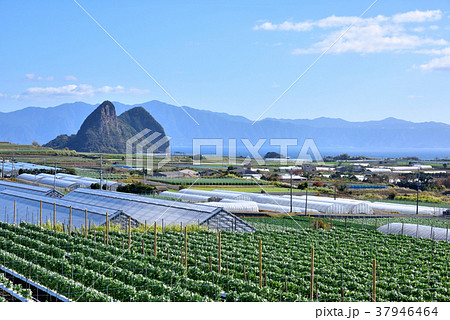 指宿市山川風景　奇岩竹山　遠望大隅半島 37946464