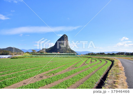 指宿市山川風景　奇岩竹山　開聞岳山麓風景 37946466