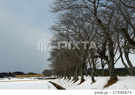 三岐鉄道の冬 37946874