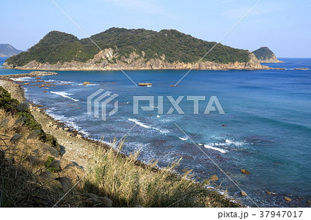 幸島 日南海岸 幸島 日南海岸 37947017