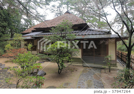 氷雨の栗林公園、南庭の茶室「日暮亭」 37947264