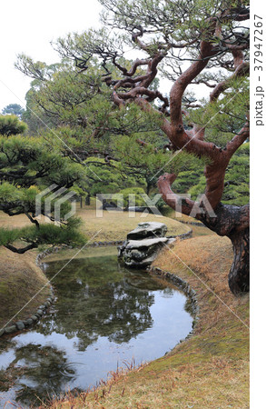 冬の栗林公園、南庭の「見返り獅子」 37947267