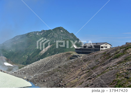 室堂平周遊の風景 室堂平周遊の風景 37947420