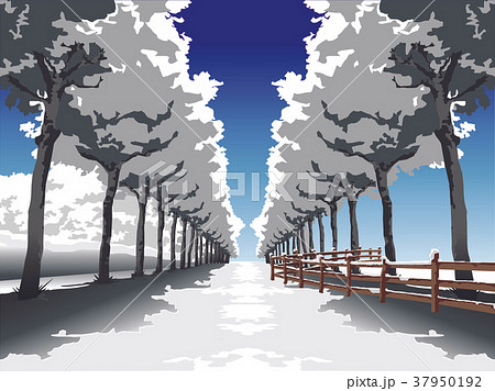 イラスト 冬 木 37950192
