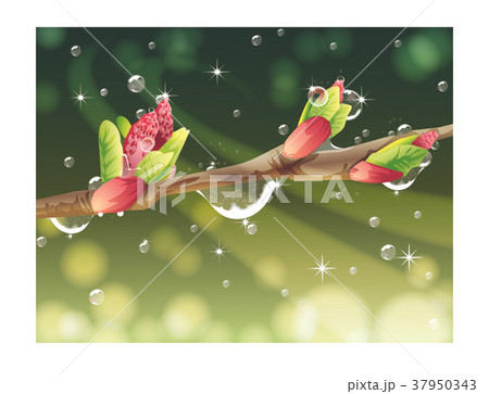 花 イラスト 春 37950343