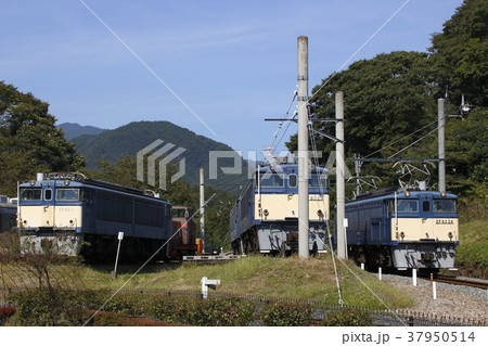 碓氷峠鉄道文化むら（EF63形電気機関車 運転体験） 37950514