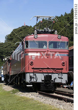 碓氷峠鉄道文化むら（EF80-63） 37950532