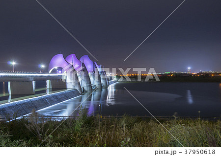 韓国 栄山江 川 37950618