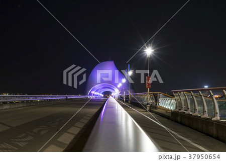 韓国 栄山江 川 37950654