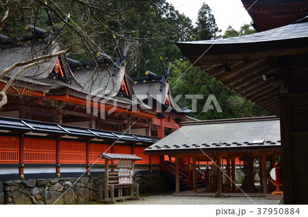 丹生都比売神社 37950884
