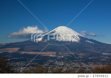 金時山から望む富士山 37950912