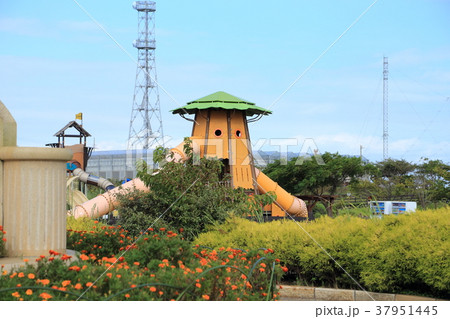 ソレイユの丘(横須賀市) 子供の遊具 ソレイユの丘(横須賀市) 子供の遊具 37951445