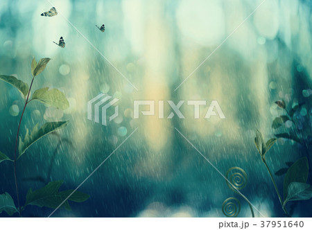 Butterflies and plants in a woods in rain Butterflies and plants in a woods in rain 37951640