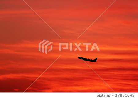早朝の離陸機 早朝の離陸機 37951645