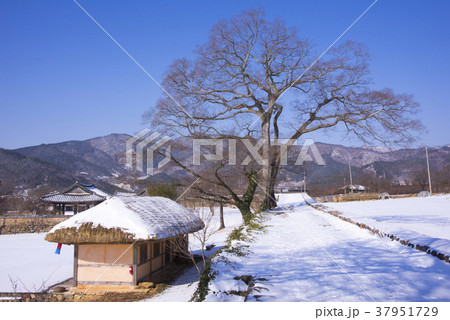 民俗村 楽安邑城 順天市 37951729
