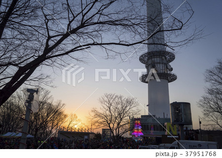 木 植物 建築 37951768