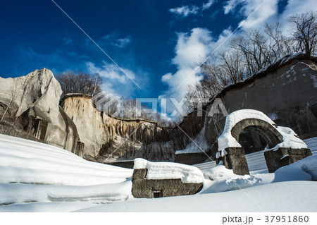 石山緑地　冬 37951860