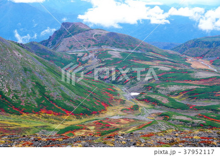 大雪山　黒岳と紅葉 37952117