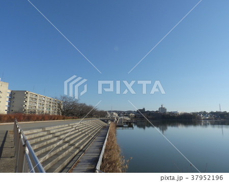 牧野ヶ池緑地 ( 2017年1月 愛知県 ) 37952196
