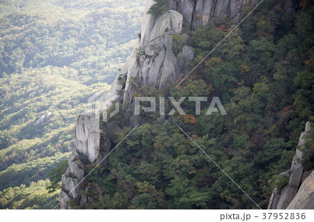 道峰山 山 自然 37952836