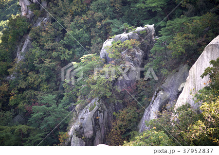 道峰山 山 自然 37952837