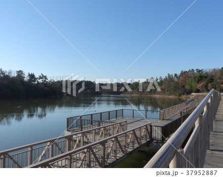 牧野ヶ池緑地 ( 2017年1月 愛知県 ) 牧野ヶ池緑地 ( 2017年1月 愛知県 ) 37952887