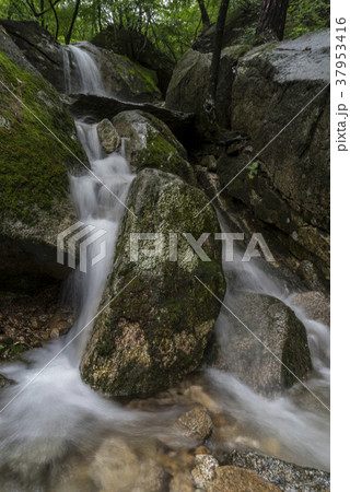 屋外 室外 韓国 37953416