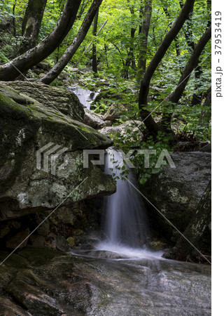 木 岩 石 37953419