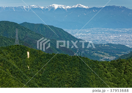 新緑の本社ヶ丸から見る残雪の白峰三山 新緑の本社ヶ丸から見る残雪の白峰三山 37953688
