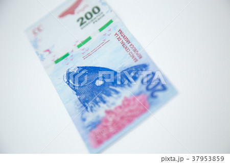 argentine money with white background 37953859