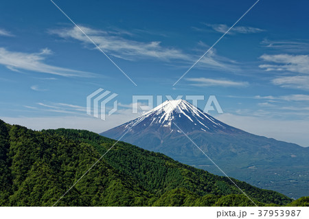 本社ヶ丸から見る残雪の富士山 本社ヶ丸から見る残雪の富士山 37953987