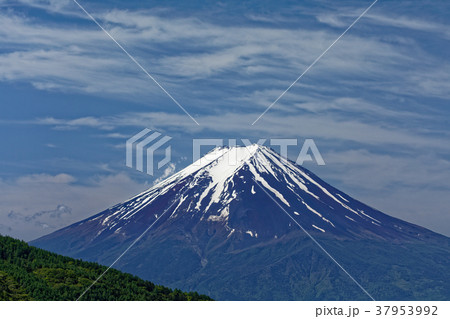 本社ヶ丸から見る残雪の富士山 本社ヶ丸から見る残雪の富士山 37953992