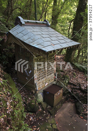 浄蓮の滝散策コース途中にある「祠」 浄蓮の滝散策コース途中にある「祠」 37954217