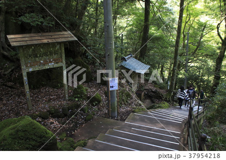 浄蓮の滝散策コース途中にある「祠」 浄蓮の滝散策コース途中にある「祠」 37954218