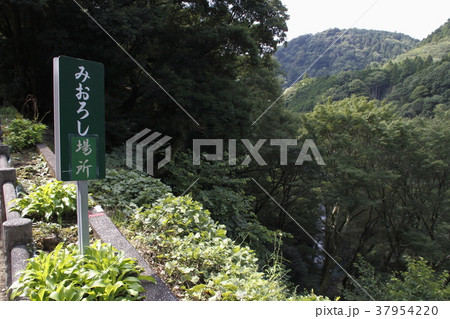 浄蓮の滝(静岡県)の見晴し台 浄蓮の滝(静岡県)の見晴し台 37954220