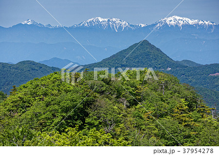 本社ヶ丸から見る釈迦ヶ岳と残雪の南アルプス 本社ヶ丸から見る釈迦ヶ岳と残雪の南アルプス 37954278