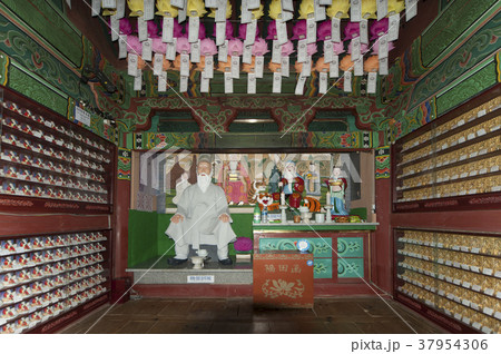 自然 木 全北 37954306