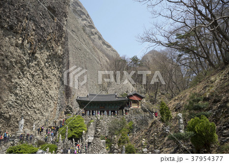 マイサン 鎮安郡 山 37954377