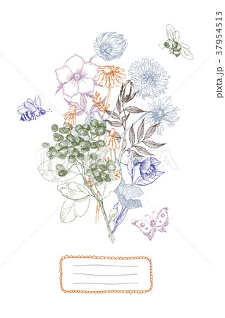 Vintage botanical illustration flower bouquet with 37954513
