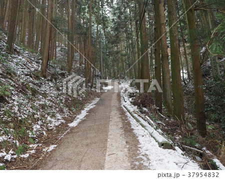 金剛山 千早本道 37954832