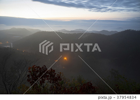 全羅南道 緑茶畑 山 37954834