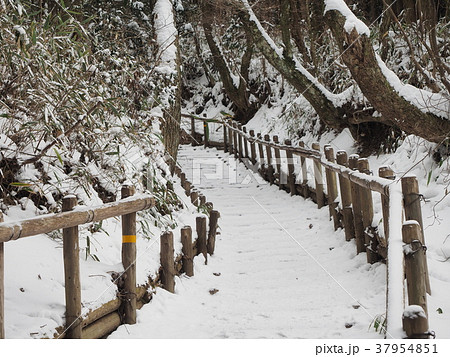 金剛山 千早本道 37954851