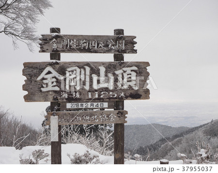 金剛山 金剛山 37955037