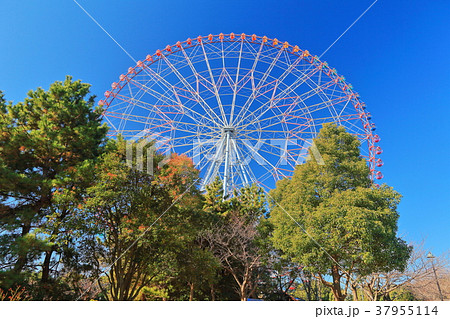 葛西臨海公園の汐風の広場ゾーンの写真素材