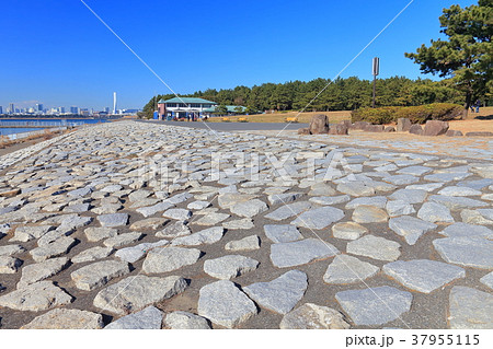 葛西臨海公園の汐風の広場ゾーンの写真素材