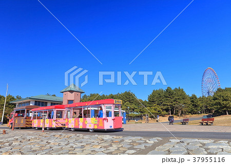 葛西臨海公園の汐風のパークトレイン 37955116